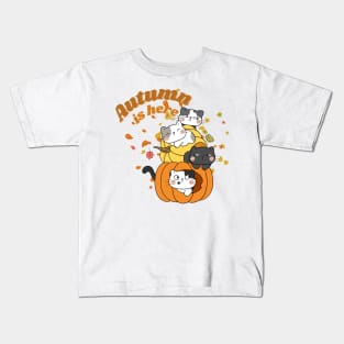 Autumn is here - Hello Fall - Cat in Pumpkin Kids T-Shirt
